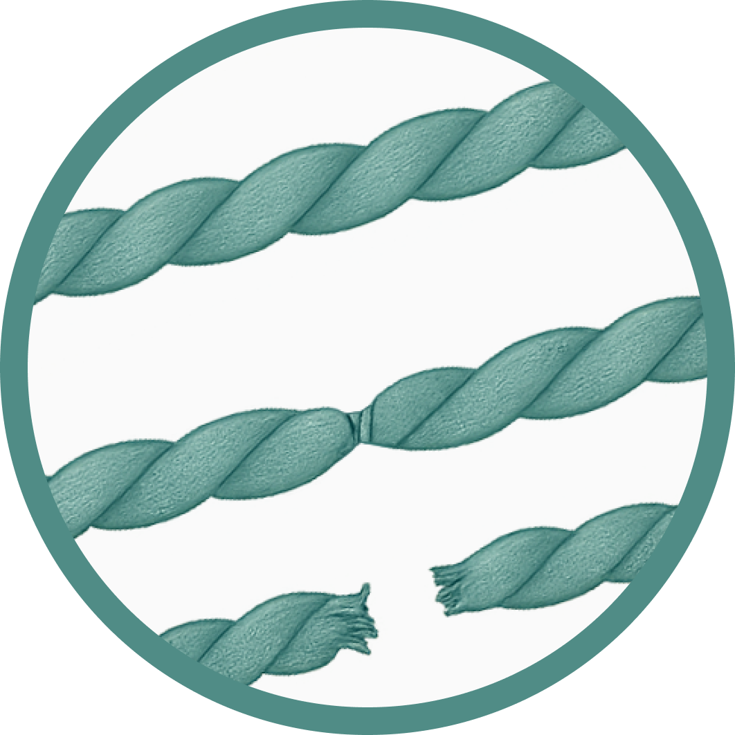 Иллюстрация дисплазии соединительной ткани